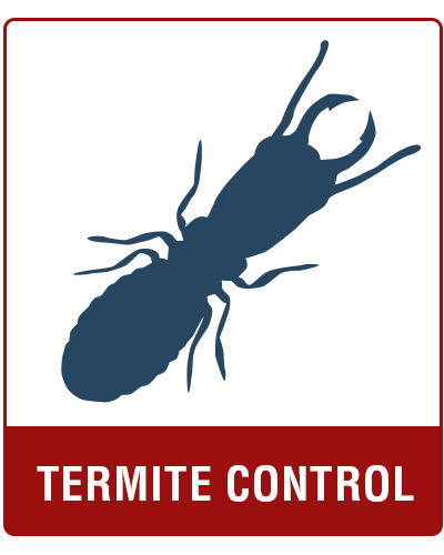 termiteIcon.png